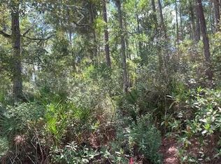 122 Juniper Rd, Georgetown, FL 32139