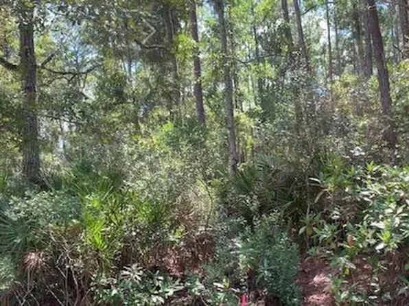 122 Juniper Rd, Georgetown, FL 32139