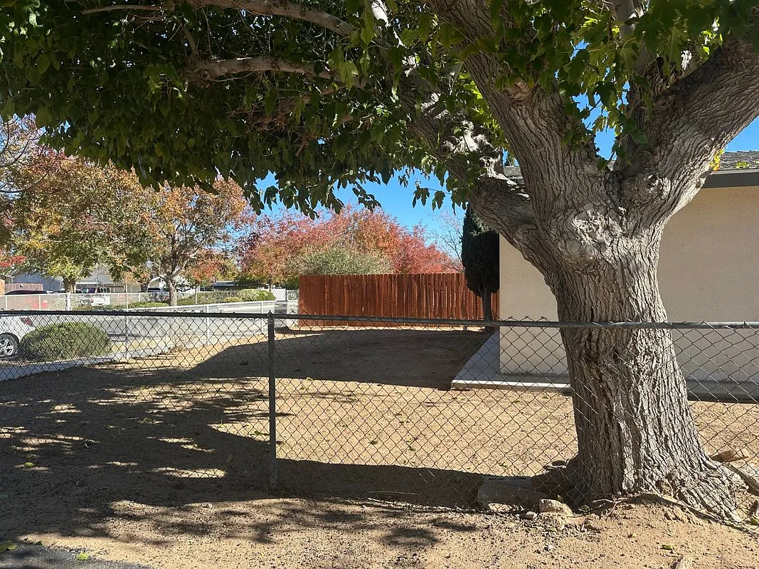 2 bed, 1.0 bath, 1282 sqft, $1,700 — Photo 2
