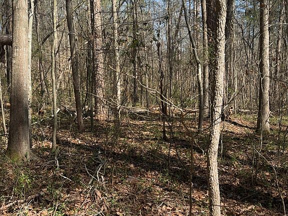 4th image of 0 Poplar Mountain Ln