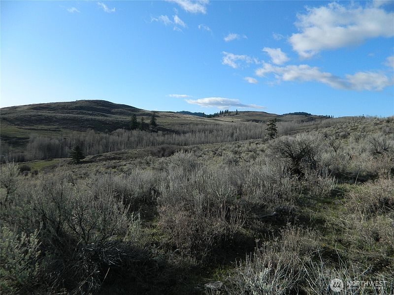 4th image of 0 TBD Ellemeham Ridge Road