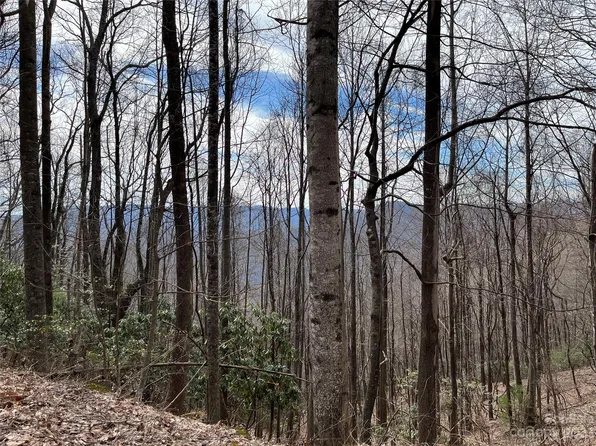 Tbd Sheets Gap Rd, Millers Creek, NC 28651