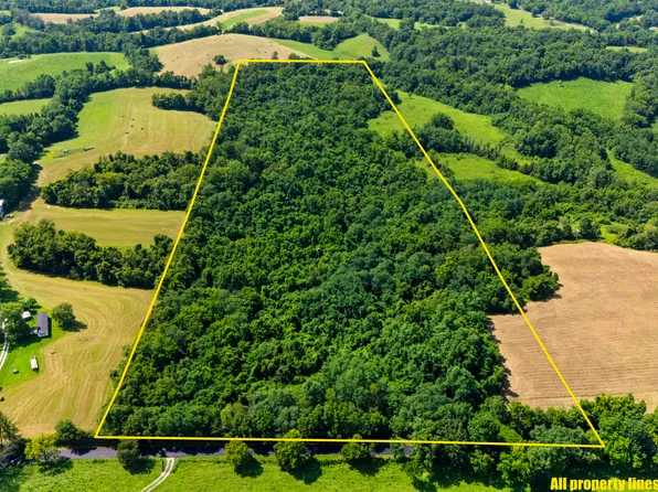 223 Plum Lick Rd, Paris, KY 40361