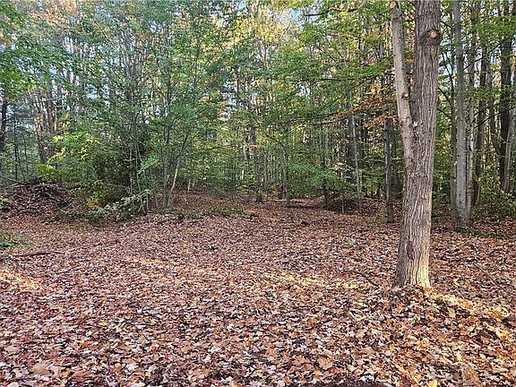 5th image of 66 Gale Rd Lot 16