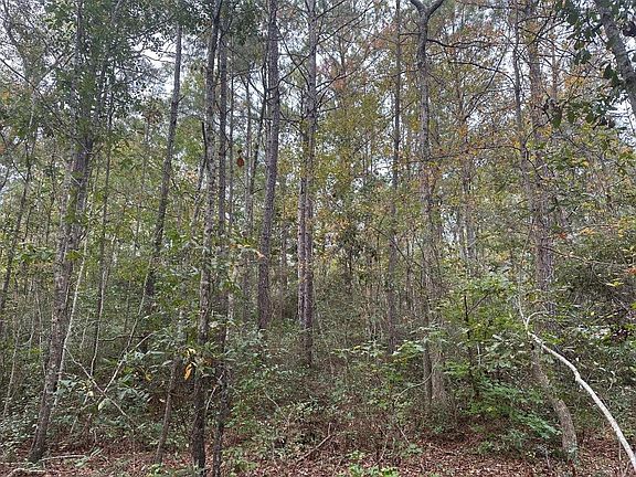 4th image of 1281-0 Jack And Johnny Rd SW