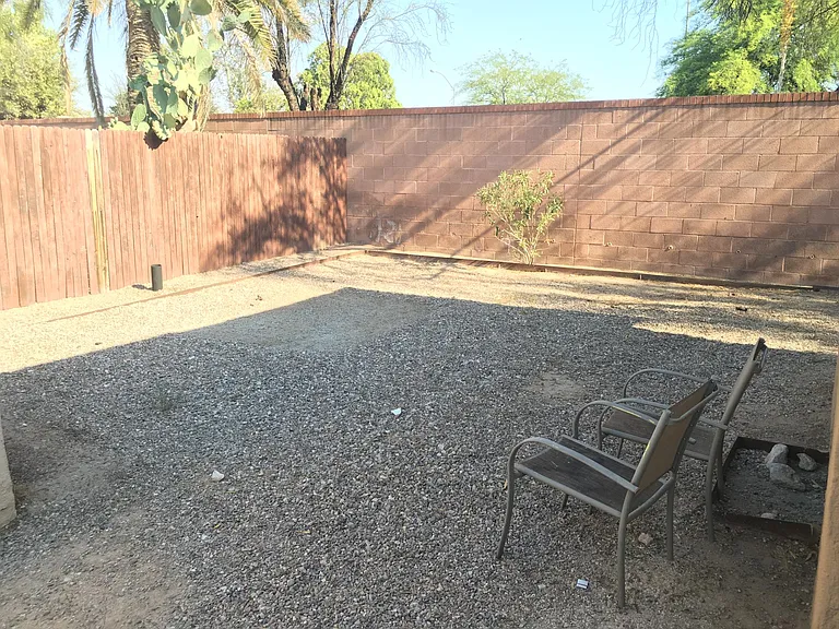 Back yard area