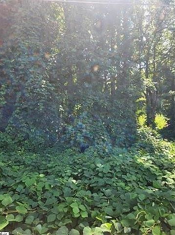 2nd image of 0 Clark Rd