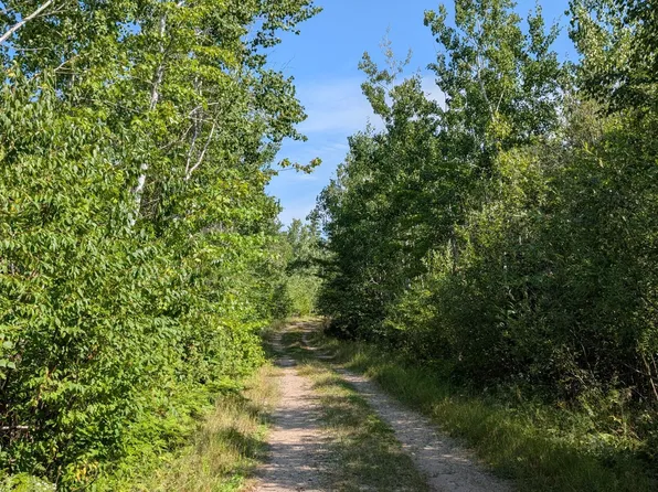 Kennedy Rd, Cook, MN 55723