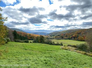 Dimmick Mountain Rd, Denver, NY 12421