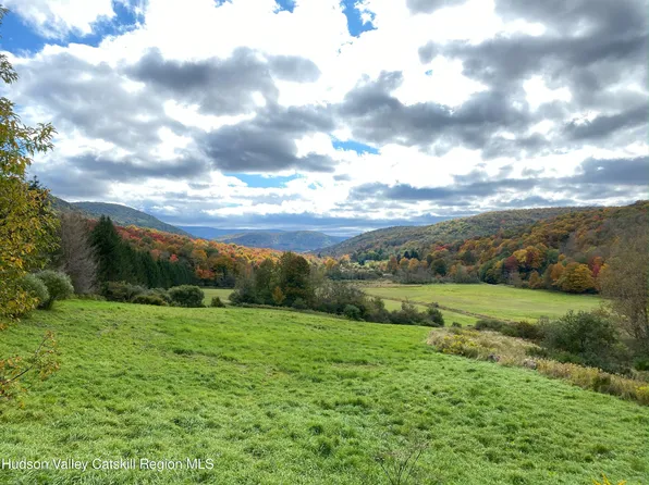 Tbd Dimmick Mountain Rd. Road, Denver, NY 12421