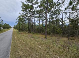 Lot 21 SE 105th LN, Dunnellon, FL 34431