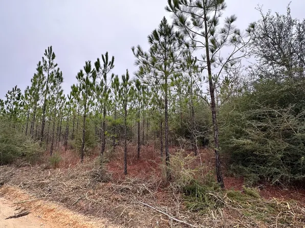 TRACT 6418 S Mattox Springs Rd #S4, Caryville, FL 32427