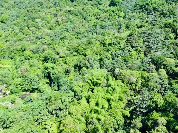 Bo Arenas Sec, Utuado, PR 00641