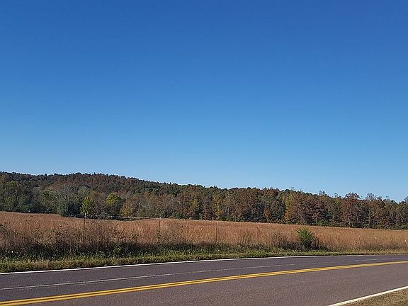 Property begins at tree line