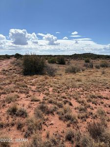 438B Yaqui Rd, Snowflake, AZ, 85937