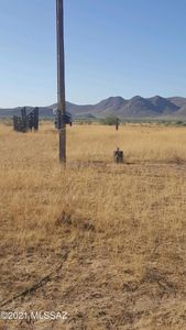 E Sulphur Springs Rd, Willcox, AZ, 85643