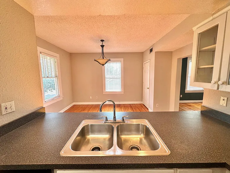 421 E Amelia St #B — Photo 11