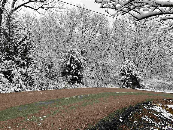 5th image of 7969 Rock Creek Dr