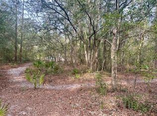 NW 11th Ave Lot 2, Bell, FL 32619