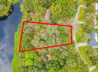 15412 Lake Burrell Dr, Lutz, FL 33549