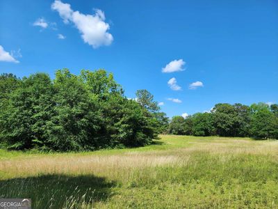 0 Russell Rd Tract 1, Milner, GA, 30257