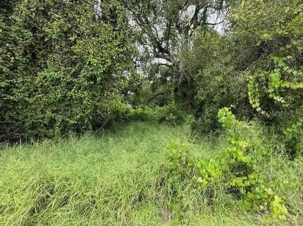 10th St S Lot 11, Haines City, FL 33844