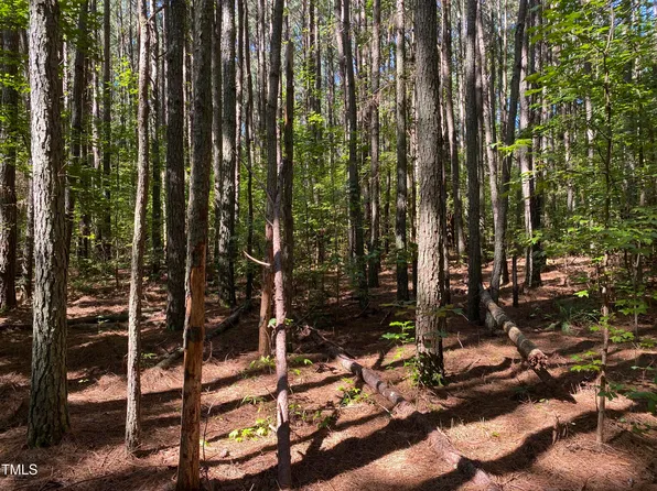 0 Collins Rd Lot 6, Manson, NC 27553