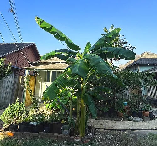 1707 Colorado St Photo 1