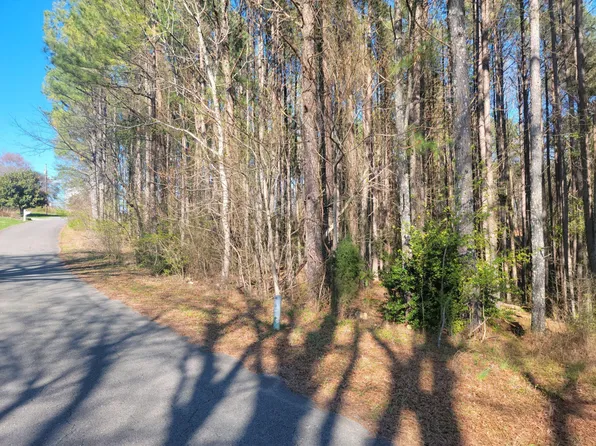 LOT 12 N Hillcrest Dr, Spring City, TN 37381