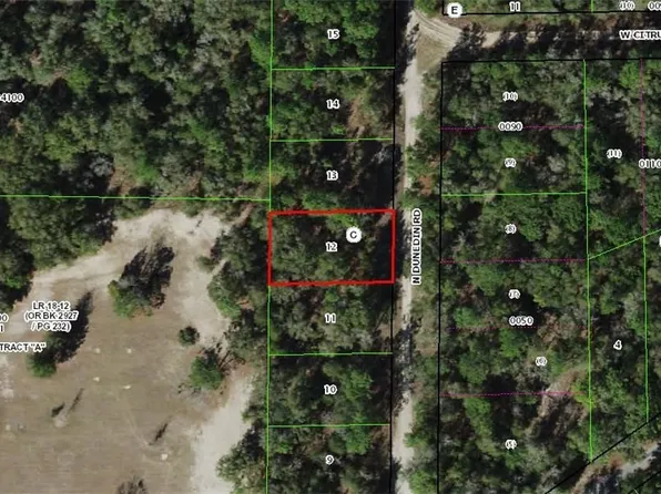 10366 N Dunedin Rd, Dunnellon, FL 34433