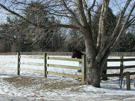 one of 13 fenced pastures