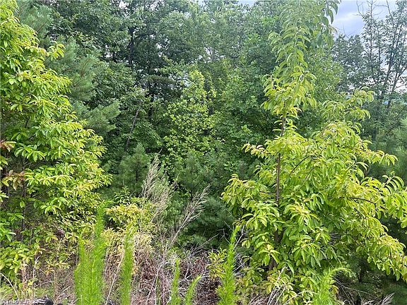 3rd image of Lobelia Ln Lot 72