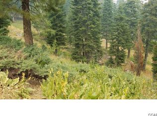 430 Snowshoe Rd, Bear Valley, CA 95223