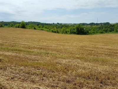 124 John M Reed Rd, Limestone, TN, 37681