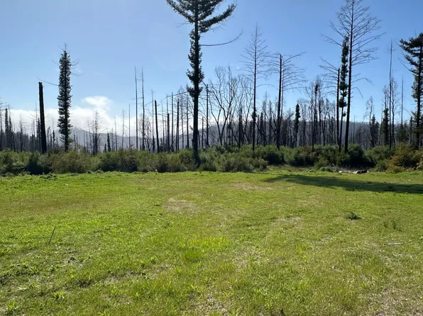 4605 Last Chance Rd, Davenport, CA 95017