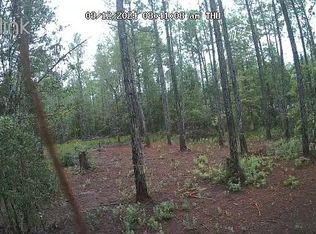 4215 Calvin St, Hastings, FL 32145