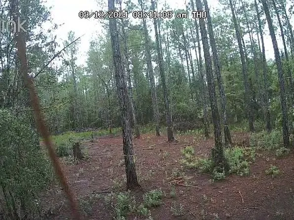 4215 Calvin St, Hastings, FL 32145