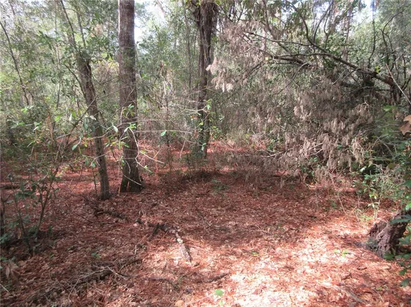 NE 171st Ct Lot 70, Silver Springs, FL 34488