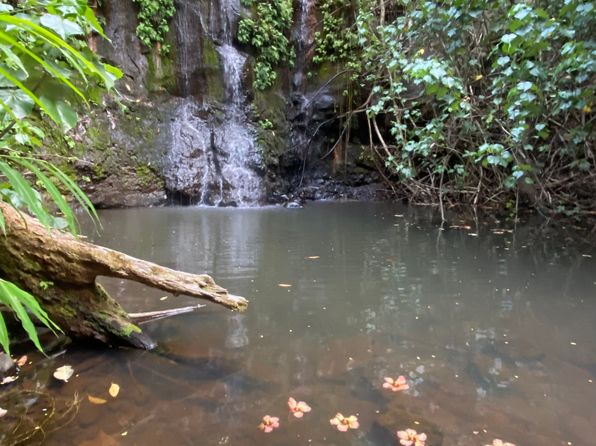 (undisclosed Address)