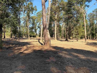 334 Westmoreland Ln, Amite, LA, 70422