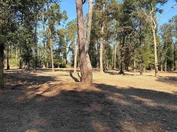 334 Westmoreland Ln, Amite, LA 70422