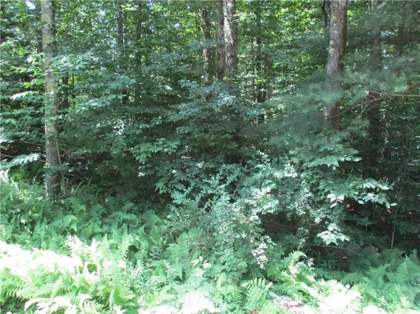 Wolf Lake Road, Rock Hill, NY 12775