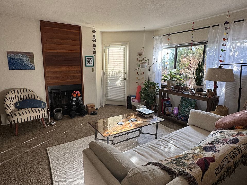Large bright, sunny open living area.