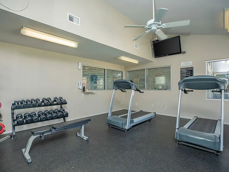 State-of-the-Art Fitness Center at Wind Tree Apartments in El Paso, TX