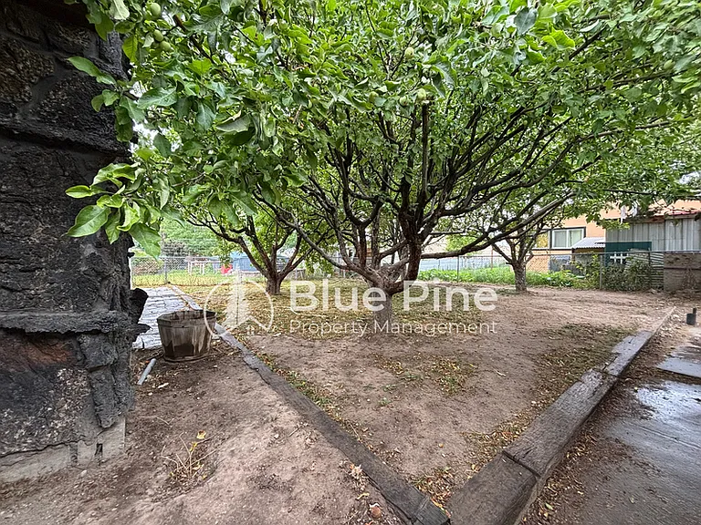 1080 Halsey St — Photo 3
