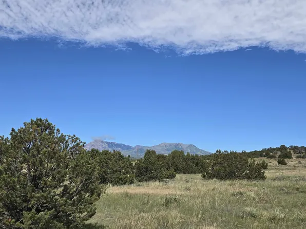 131 Navajo Ranch Resorts #2, Walsenburg, CO 81089