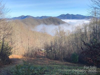 0 English Setter Trl #9, Whittier, NC, 28789