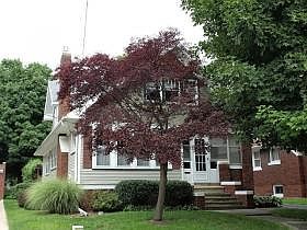 1st image of 1168 Beecher Ave