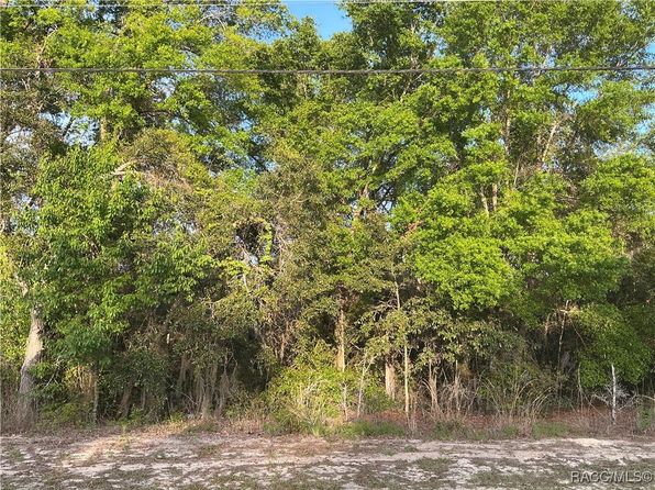 231 N Kensington Ave, Lecanto, FL 34461