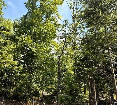 2nd image of Lot #16 Sunset Cove Way